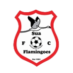 Sua Flamingoes